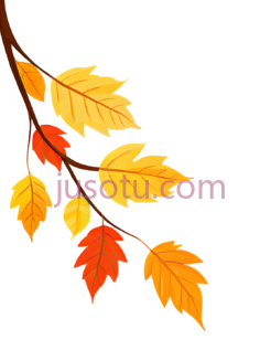 叶子,插画,黄色,橙色PNG