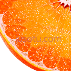 橙子,水果,切片PNG