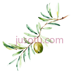 橄榄枝PNG