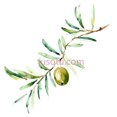 橄榄枝, PNG