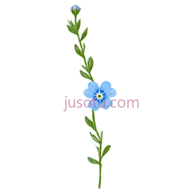 勿忘草,蓝色, PNG