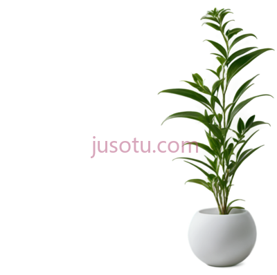 植物, PNG