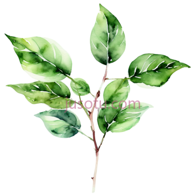 树叶,水彩画,绿色, PNG