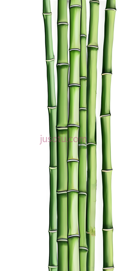竹林, PNG