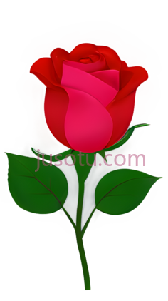 玫瑰花瓣,花朵PNG