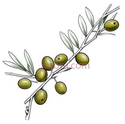 橄榄枝,现代,绿色,白色, PNG