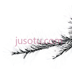 松针, PNG