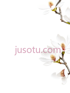 樱花树, PNG