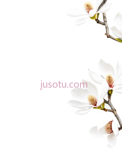 樱花树, PNG