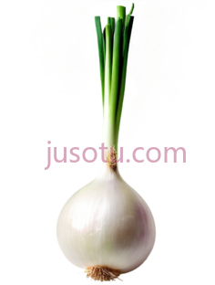 洋葱,去皮PNG