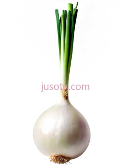 洋葱,去皮, PNG