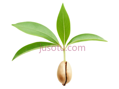 种子, PNG