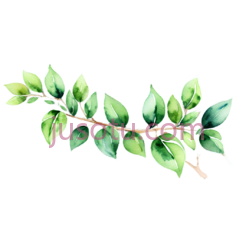 树枝,水彩画,绿色PNG