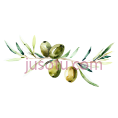 橄榄枝PNG