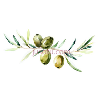 橄榄枝, PNG