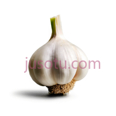 大蒜PNG