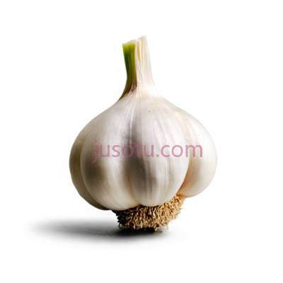 大蒜, PNG
