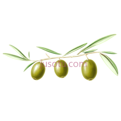 橄榄枝, PNG