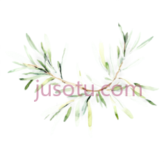 橄榄树枝, PNG