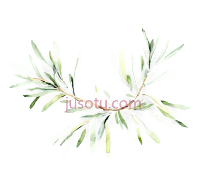 橄榄树枝, PNG