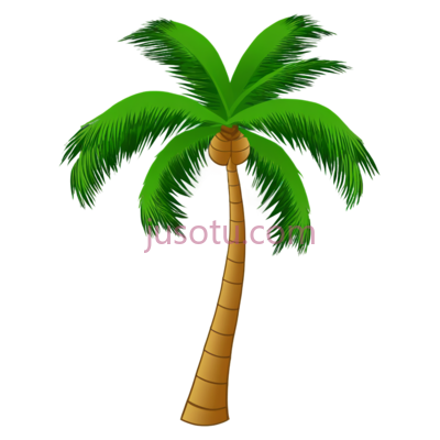 棕榈树,卡通, PNG