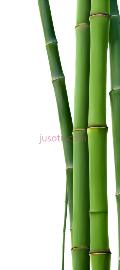 绿色竹子, PNG