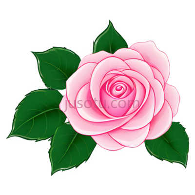 玫瑰,卡通,花瓣, PNG