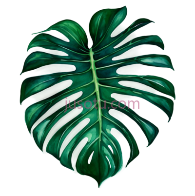 水彩,绿萝叶, PNG