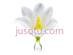小苍兰,花 PNG
