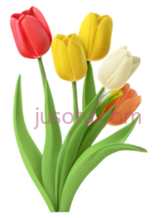 卡通郁金香,活泼表情,花卉PNG