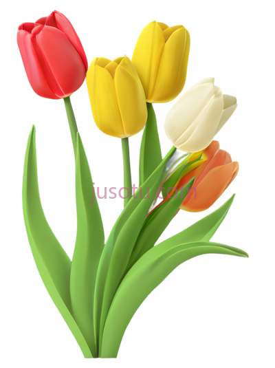 卡通郁金香,活泼表情,花卉, PNG