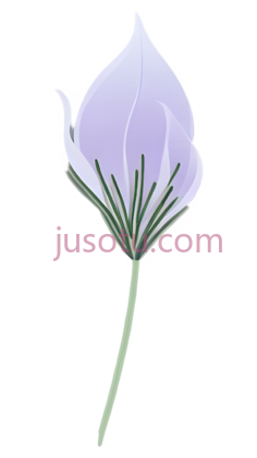 花,花瓣,薰衣草PNG