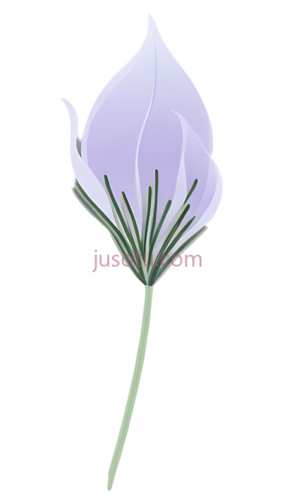 花,花瓣,薰衣草, PNG