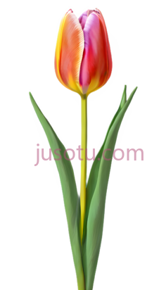 抽象郁金香,数字,亮丽色PNG