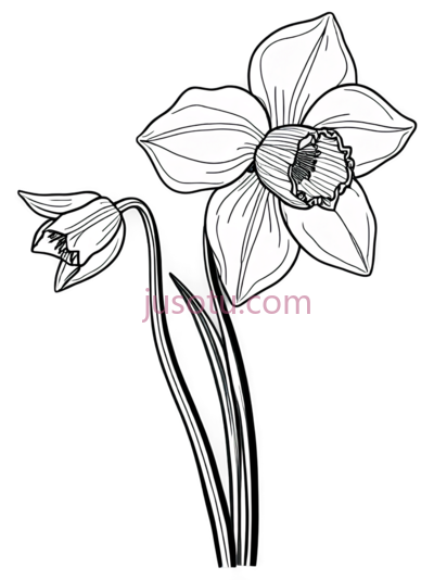 花,纹身, PNG