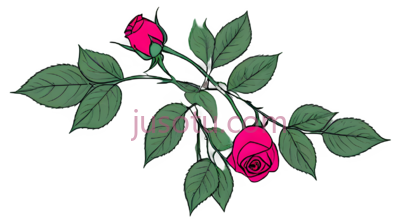 玫瑰花蕾, PNG
