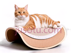 猫,躺着的,橘白相间PNG