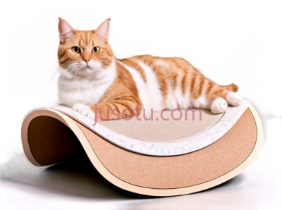 猫,躺着的,橘白相间, PNG