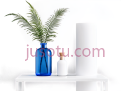 花瓶,植物,现代,蓝色,白色PNG