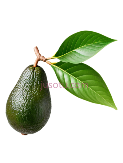 牛油果,自然,绿色, PNG