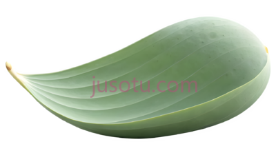 莲花籽荚, PNG