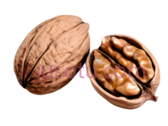 核桃, PNG