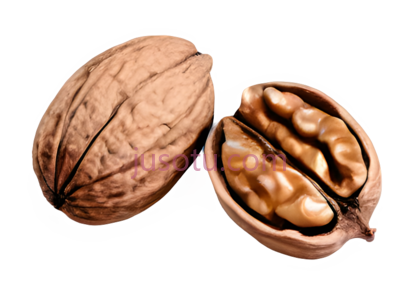 核桃, PNG