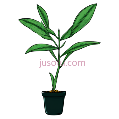 龙舌兰,植物, PNG
