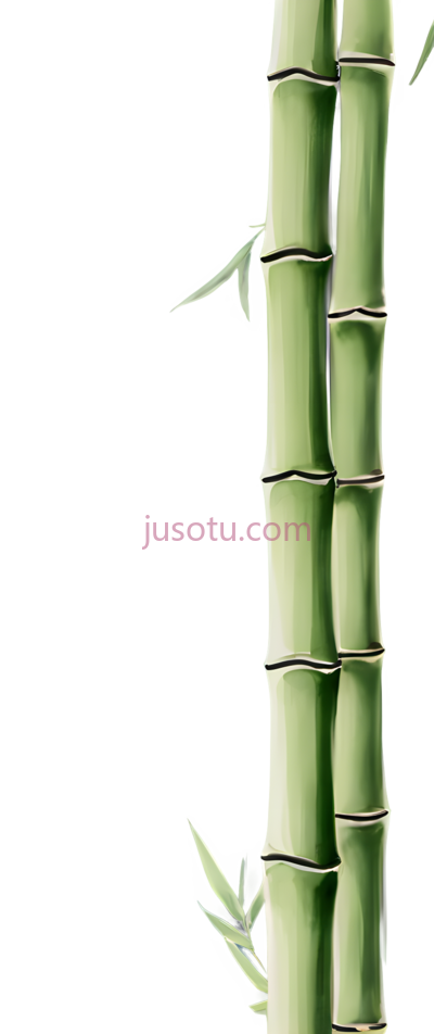 竹节, PNG
