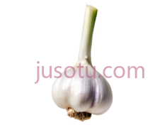 大蒜PNG