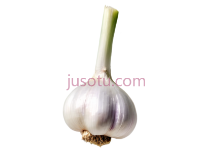 大蒜, PNG