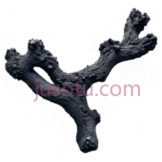树枝,抽象,黑色PNG