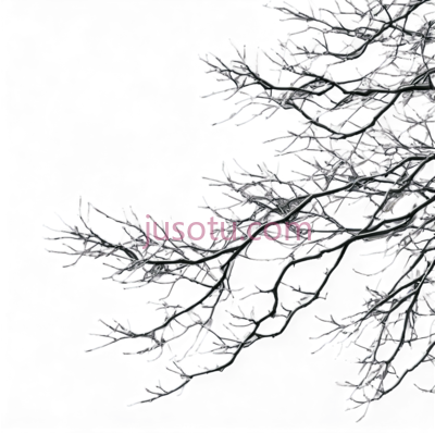 树枝,线条,白色, PNG