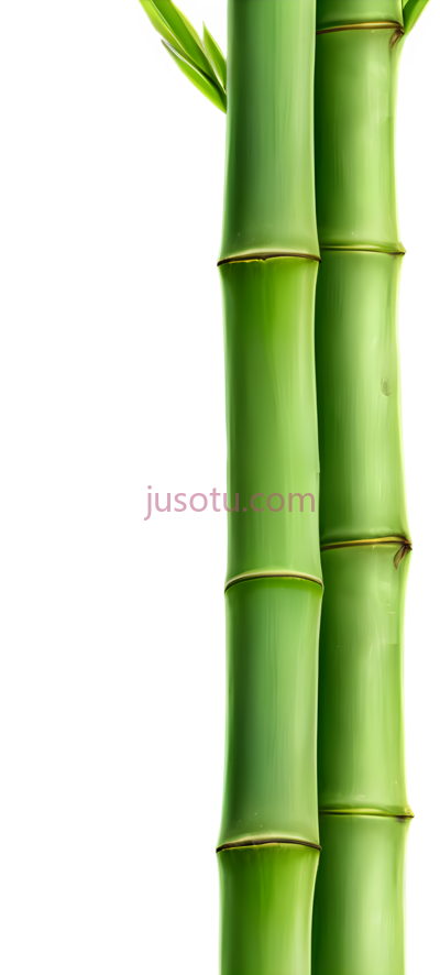 竹茎,植物, PNG